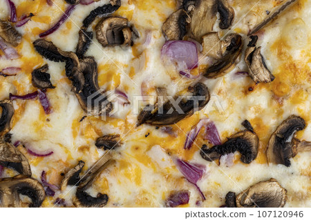 pizza with cheese and mushrooms with spices 107120946