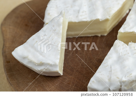 soft processed cheese on a board and paper soft processed cheese on a board and paper 107120958