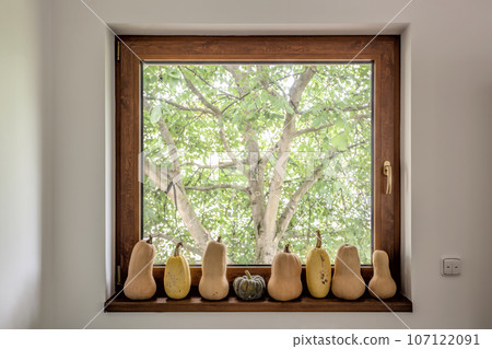 Series of pumpkins on window sill against tree 107122091