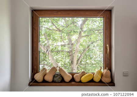 Series of pumpkins on window sill against tree Series of pumpkins on window sill against tree 107122094