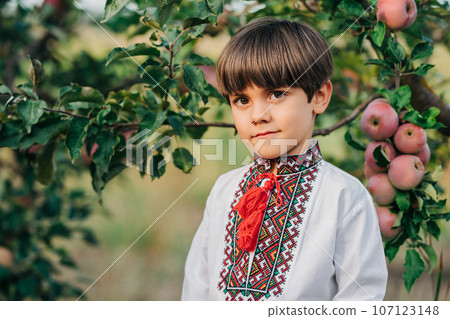 Portrait of handsome ukrainian boy in apple orchard.Child traditional embroidery 107123148