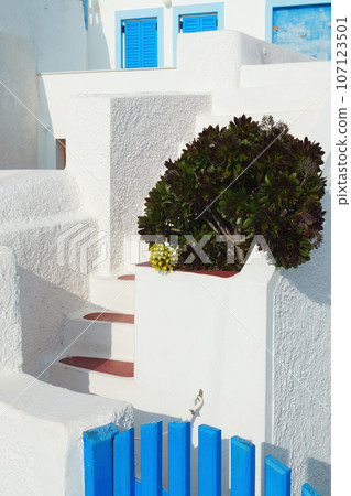 Green plant on stairs near blue doors and windows. Traditional white architecture on Santorini. Green plant on stairs near blue doors and windows. Traditional white architecture on Santorini. 107123501