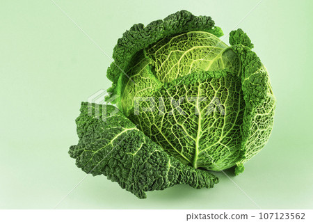 Fresh ripe savoy cabbage isolated on light green background. Close up wallpaper. Fresh ripe savoy cabbage isolated on light green background. Close up wallpaper. 107123562