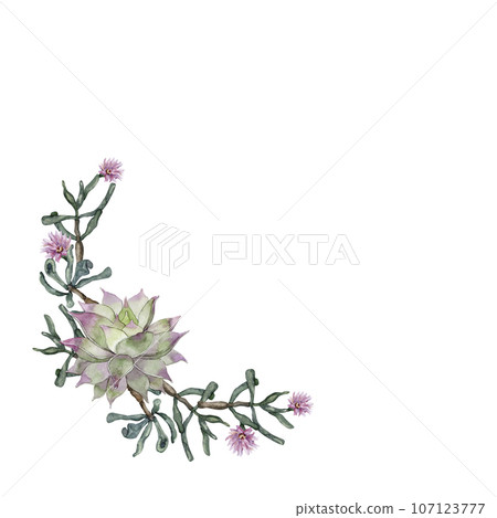 Wreath of green flowering succulents. Cute house plants. High quality watercolor illustration Wreath of green flowering succulents. Cute house plants. High quality watercolor illustration 107123777