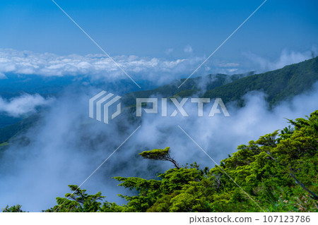 [山素材]唐松山的夏季登山風景[長野縣] 107123786