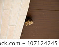 A small beehive built under the eaves of a house 107124245