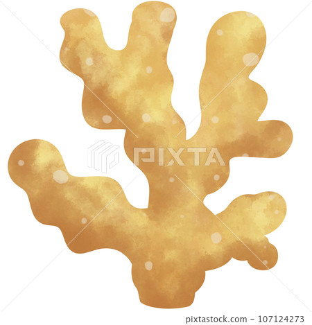 cute draw color water yellow coral , no background 107124273