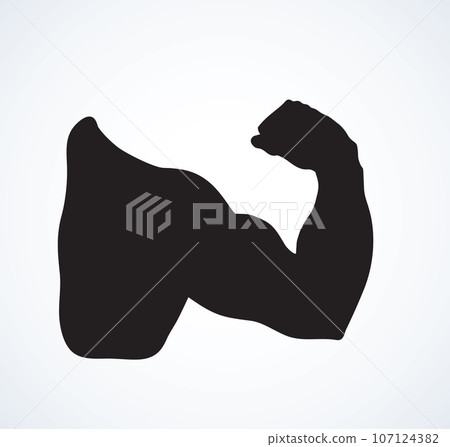 Fist and biceps. Vector drawing Fist and biceps. Vector drawing 107124382