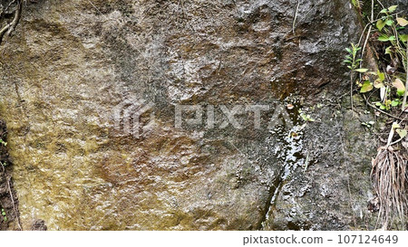 Turbid and swollen rocks of the Yoro River in Ichihara City, Chiba Prefecture 107124649