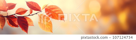 Autumn background with yellow and red leafs. Autumnal background, good for advertising or banners. 107124734