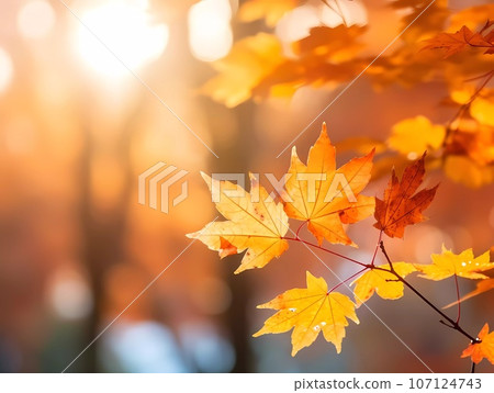 Autumn background with yellow and red leafs. Autumnal background, good for advertising or banners. Autumn background with yellow and red leafs. Autumnal background, good for advertising or banners. 107124743