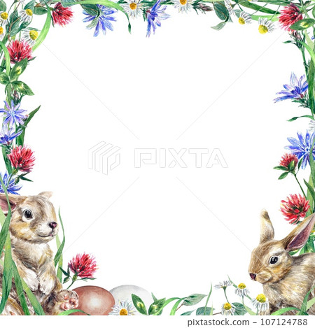 Square frame of wildflowers, rabbit and eggs. Watercolor illustration on an Easter theme isolated on a white background. Greeting cards, invitations. Square frame of wildflowers, rabbit and eggs. Watercolor illustration on an Easter theme isolated on a white background. Greeting cards, invitations. 107124788