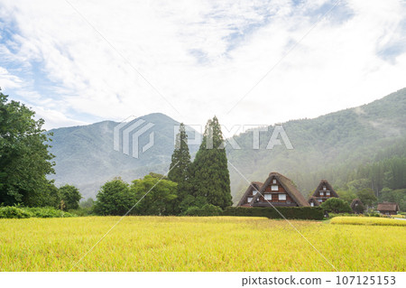 "Gifu Prefecture" Shirakawa-go in autumn - fruitful autumn and gassho-zukuri village 107125153