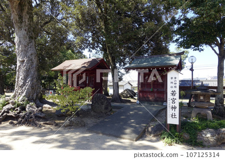 九州第二天滿宮 小鶴錦鯉森林 水田天滿宮 若宮神社 107125314
