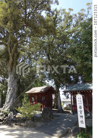 九州第二天滿宮 小鶴錦鯉森林 水田天滿宮 若宮神社 107125315