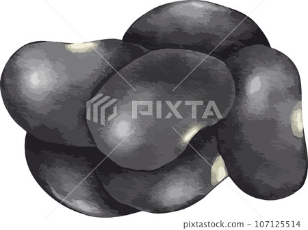 black bean watercolor illustration isolated element black bean watercolor illustration isolated element 107125514