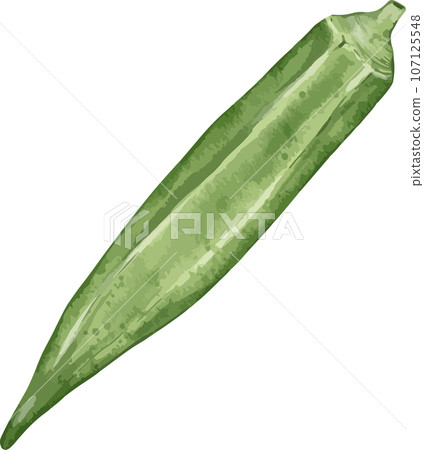 okra watercolor illustration isolated element 107125548