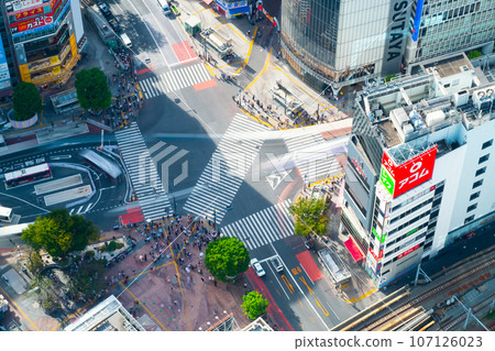 Shibuya Scramble Crossing 2023 Summer 107126023