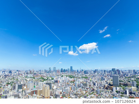 Tokyo scenery Panoramic view of the city center 2023 Tokyo scenery Panoramic view of the city center 2023 107126024