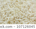 Malted rice  107126045