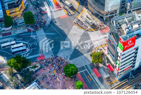 澀谷 Scramble Crossing 2023 夏季 107126054