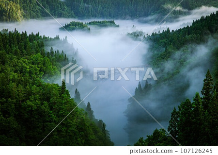 Tadami Line - First Tadami River Bridge in summer wrapped in morning mist (Mishima Town, Fukushima Prefecture, early morning in mid-August) Tadami Line - First Tadami River Bridge in summer wrapped in morning mist (Mishima Town, Fukushima Prefecture, early morning in mid-August) 107126245