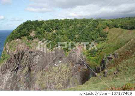 Utoro Lighthouse and Furepe Falls on the Shiretoko Peninsula 107127409