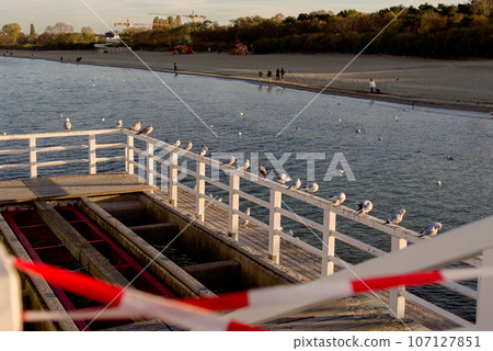 Baltic Sea in autumn, seagulls on the sea background. High quality photo Baltic Sea in autumn, seagulls on the sea background. High quality photo 107127851