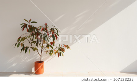 Green indoor plant in a white cylindrical pot against a white wall background. High quality photo 107128222
