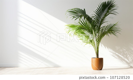 green palm plant in a white vase against a white wall. High quality photo green palm plant in a white vase against a white wall. High quality photo 107128520