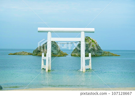 Torii漂浮在海中 107128667