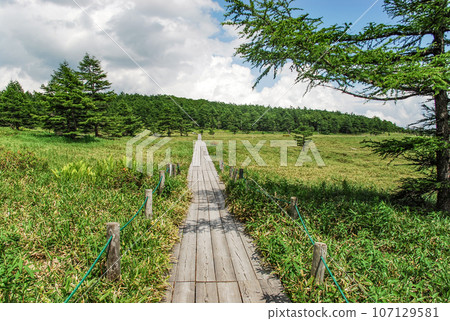 Ikenotaira Wetland (Tomi City, Nagano Prefecture) 107129581