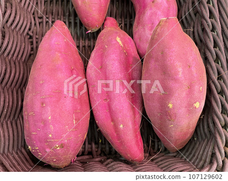 紅東 107129602