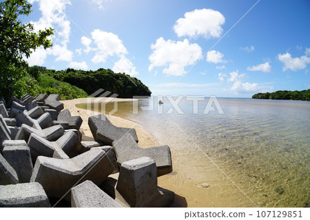 吹通川海邊 107129851