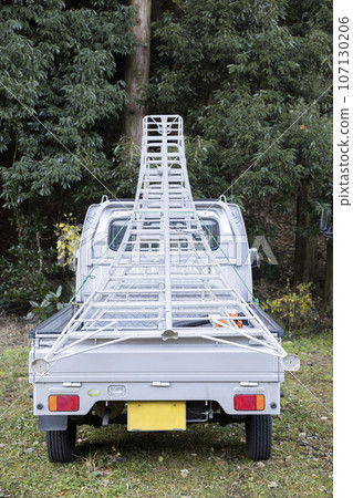 Light tiger image with stepladder Light tiger image with stepladder 107130206
