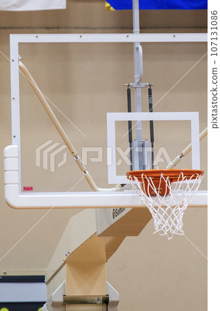 Landscape with a basketball goal 107131086