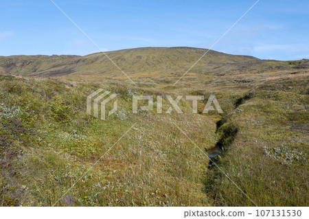Small stream amidst arctic vegetation in Fjallabak Nature Reserve in Iceland. Small stream amidst arctic vegetation in Fjallabak Nature Reserve in Iceland. 107131530
