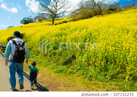 家長和孩子在千葉縣母親農場的油菜花田散步 家長和孩子在千葉縣母親農場的油菜花田散步 107132235