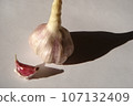 紅蒜 107132409