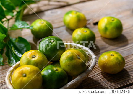 秋天的味道 非常香甜可口的早橘子 溫州橘子（開始融合藍色和黃色的橘子） 早橘子 107132486