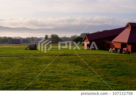 A woman taking a picture of autumn leaves A woman taking a picture of autumn leaves 107132798