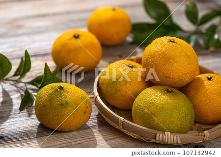 Sweet Spring Very sweet and delicious Tanzero Green Orange 107132942