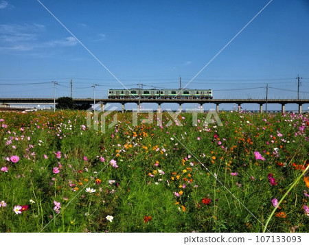 鹿島2號線穿越宇宙田和高架軌道 鹿島2號線穿越宇宙田和高架軌道 107133093