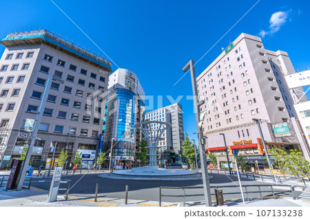 Tokyo cityscape in Japan, overlooking Otsuka Station, etc. 107133238