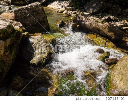 The rapids on the river 107133401