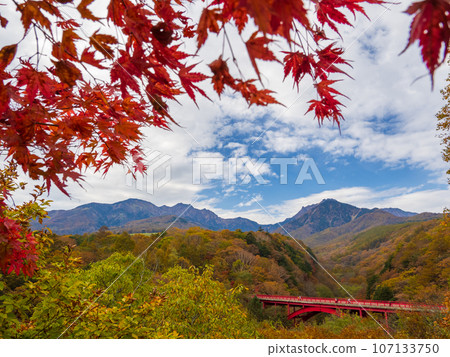 Bright red bridge and trees with autumn leaves (Higashisawabashi, Hokuto City, Yamanashi Prefecture) Bright red bridge and trees with autumn leaves (Higashisawabashi, Hokuto City, Yamanashi Prefecture) 107133750