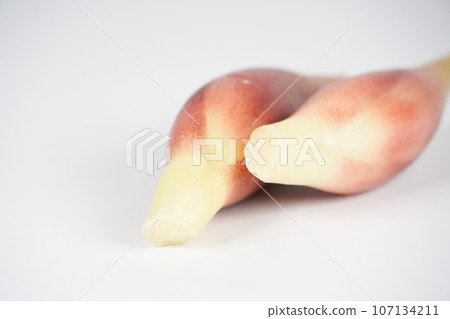 Japanese ginger condiment 107134211