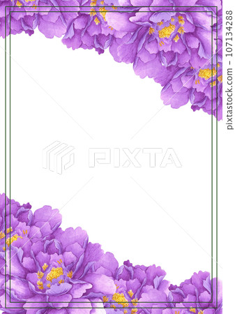 Hand drawn watercolor purple peony frame boarder isolated on white background. Can be used for invitation, postcard, poster, book decoration and other printed products. 107134288