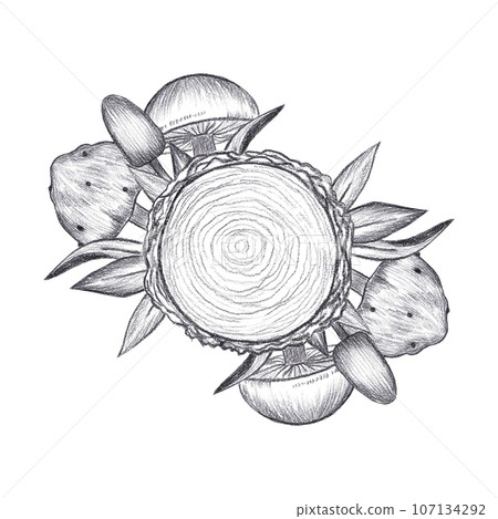 Hand drawn black pencil composition with saw cut, leaves and mushrooms isolated on white background. Can be used for post card, label and other printed products. Hand drawn black pencil composition with saw cut, leaves and mushrooms isolated on white background. Can be used for post card, label and other printed products. 107134292