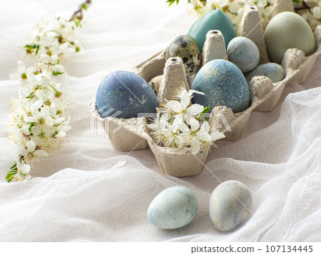 Blue painted easter eggs on white background 107134445